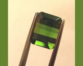 May include: A green gemstone with a faceted cut, held in tweezers. The gemstone has a dark green color with a lighter green band in the center.