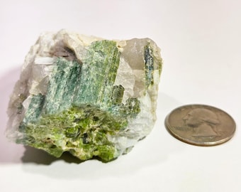 May include: A raw, uncut gemstone featuring a mix of green and white hues. The stone has a rough, textured surface with visible crystalline structures. A US quarter coin is placed next to the stone for size comparison.