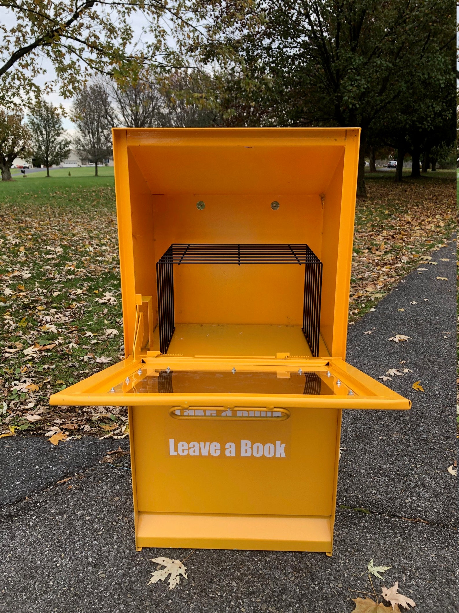 Deluxe Little Sidewalk Library Etsy