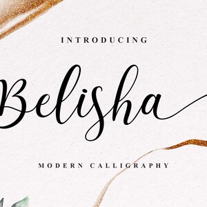 Hochzeitsschrift, Moderne Kalligrafie, Handgeschriebene Schriftart, Digitale Schriftart, Cricut Font, Corjl Font, Branding Font, Hearth Font, Swashes Font