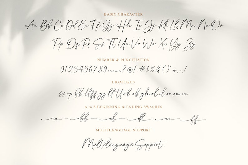 Op de afbeelding: Een handgeschreven lettertype-alfabet met hoofdletters en kleine letters, cijfers, leestekens en ligaturen. Het lettertype is een cursief schrift met een moderne uitstraling. De tekst "Meertalige ondersteuning" is ook inbegrepen.
