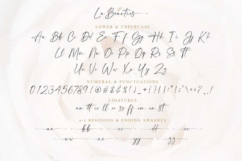 Peut inclure: Une charte de police montrant les lettres majuscules et minuscules, les chiffres, les signes de ponctuation et les ligatures de la police La Beauties. La police est un style d'&eacute;criture manuscrite avec une touche d&eacute;licate et &eacute;l&eacute;gante.