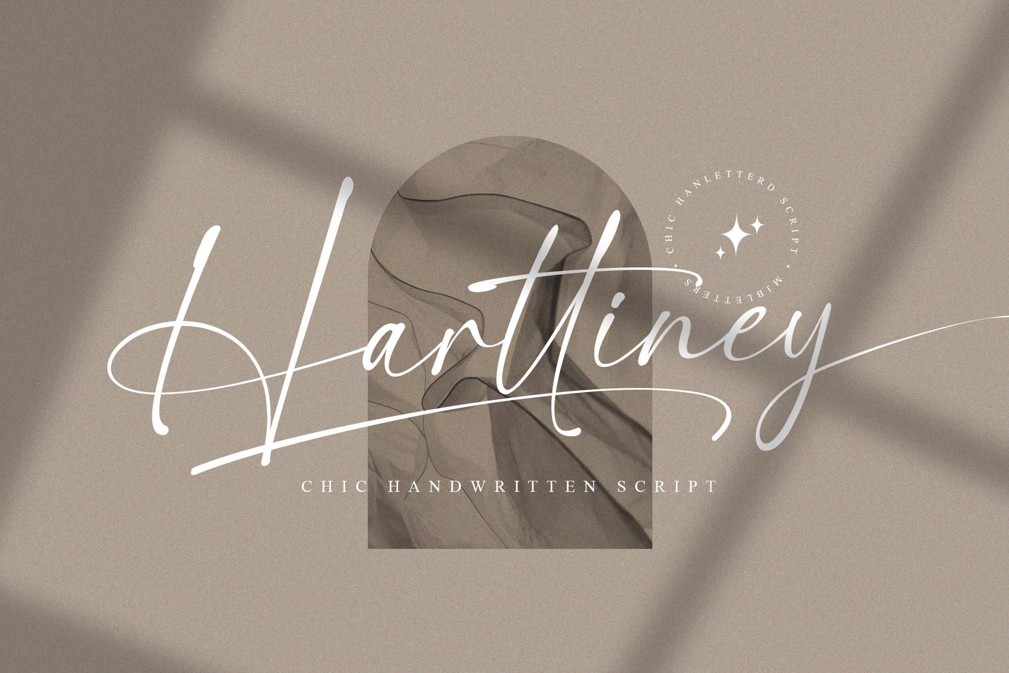 Modern Calligraphy, Handwritten Script, Wedding Font, Branding Font, Packaging Font, Corjl Font, Cricut Font, Digital Font, Logo Font