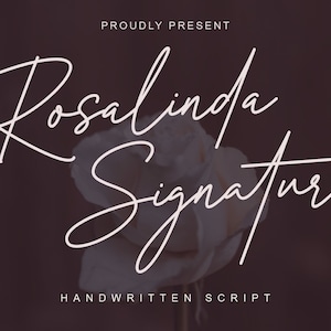 Signature Font, Monoline Font, Script Font, Handwritten Font, Cursive Font, Branding Font, Canva Font, Feminine Font, Cricut Font
