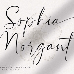 Fonte elegante Sophia Morgant, fonte para casamento, fonte para marca, fonte manuscrita, fonte Corjl, fonte romântica, fonte Canva, fonte digital