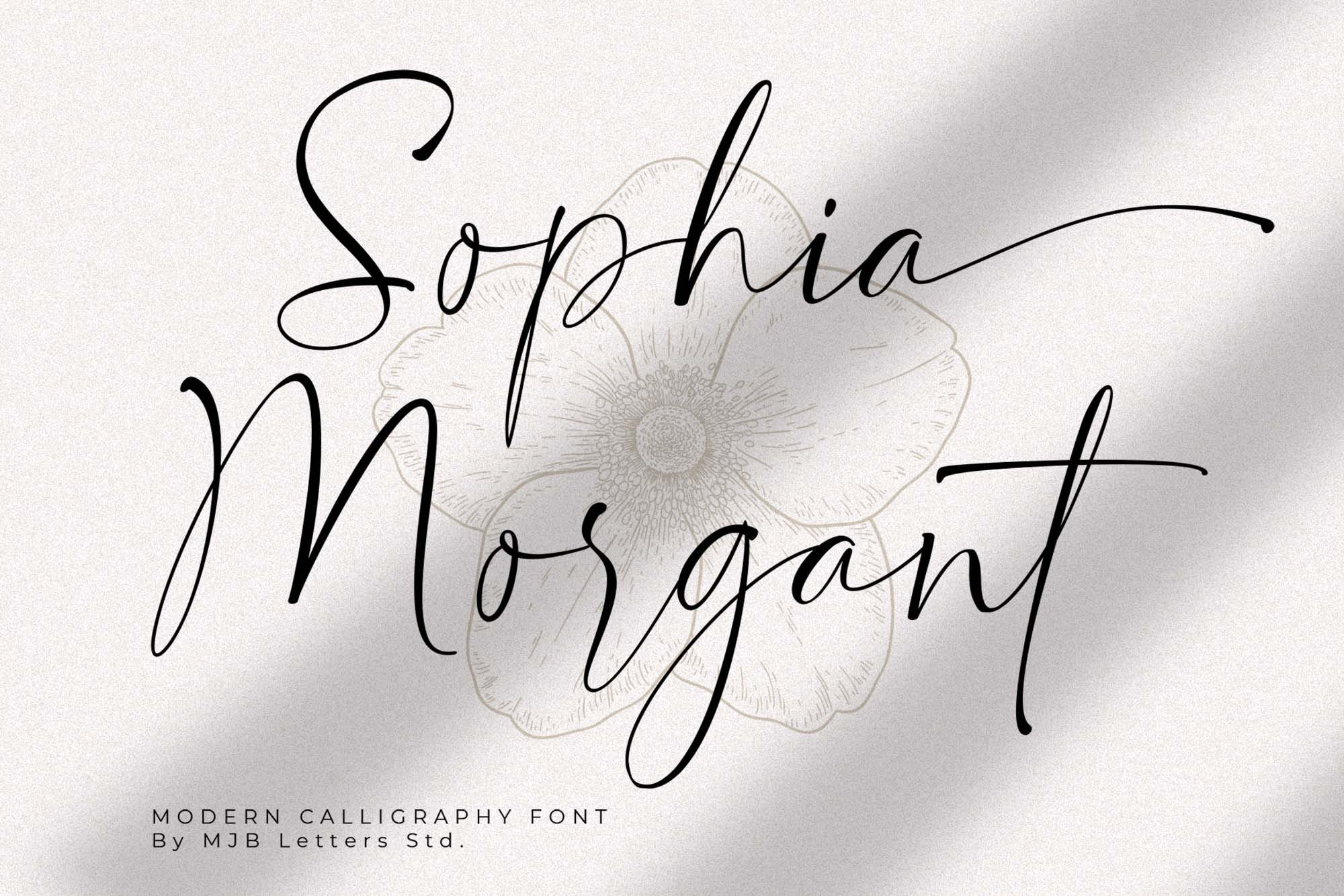 Sharlotte - Modern Calligraphy Font