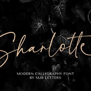 Sharlotte - Caligrafía moderna, fuente manuscrita, fuente de marca, fuente de logotipo, fuente digital, fuente para bodas, fuente romántica