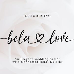 May include: Elegant wedding script design with the words "bela & love" in black cursive font, with a heart symbol connecting the words. The background is a soft, blurred white floral pattern. Text reads "Introducing" and "An Elegant Wedding Script with Connected Heart Details."