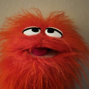 May include: A close-up of a fuzzy, orange puppet face. The puppet has large, white-rimmed eyes with black pupils, a pink tongue, and a shaggy orange beard. The puppet is a whimsical character.