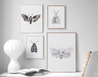 Vintage Art Print Poster Insect Wall Hangings Tapesty