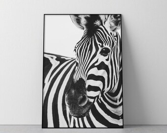 ZEBRA AND BABY BLACK AND WHITE CANVAS PRINT PICTURE WALL ART FREE UK DELIVERY