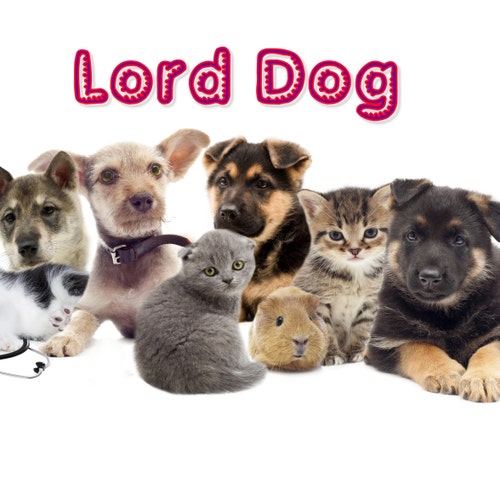 Etsy profile picture for @lorddog
