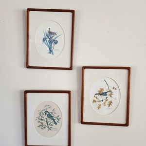 May include: Three framed bird prints. Each print features a different bird illustration within an oval mat. The frames are a dark wood tone. The birds are depicted with detailed feathers and are set against botanical backgrounds.