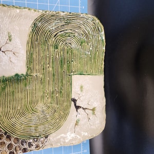 May include: A ceramic serving dish with a green and white design. The dish has a raised, textured pattern of concentric circles and a tree branch with white flowers.