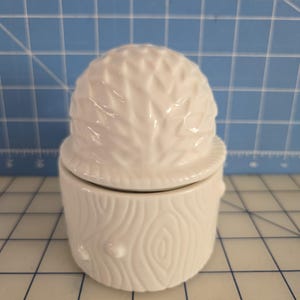 May include: White ceramic jar with a lid shaped like a cactus. The jar has a wood grain pattern and the lid has a cactus design.