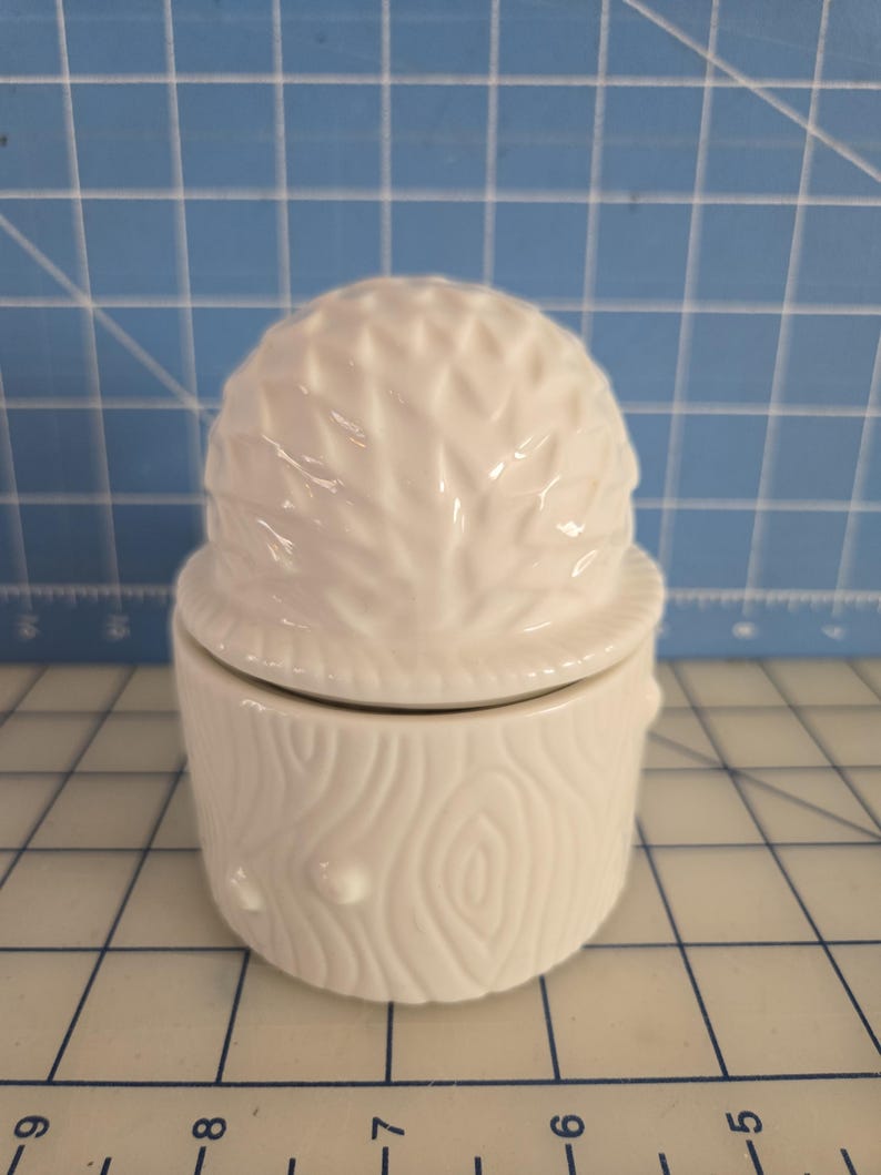 May include: White ceramic jar with a lid shaped like a cactus. The jar has a wood grain pattern and the lid has a cactus design.