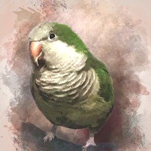 CUSTOM PET PORTRAIT/Watercolour Bird Portrait/Custom Pet Memorial/Portrait Bird Portrait/Pet Illustration/Dog Portrait/Father&#39;s Day