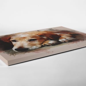 May include: A watercolour painting of a brown and white puppy lying on its side with its head resting on its paws. The puppy has a soft, furry coat and big, brown eyes.