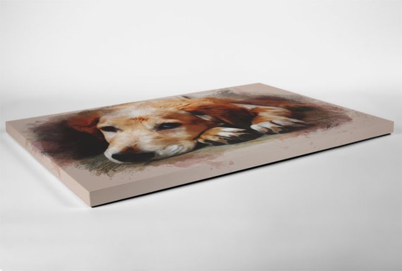 May include: A watercolour painting of a brown and white puppy lying on its side with its head resting on its paws. The puppy has a soft, furry coat and big, brown eyes.