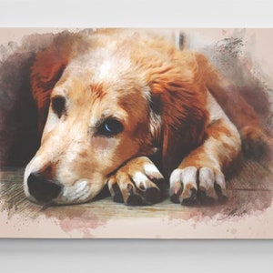 May include: A watercolour painting of a brown and white dog with blue eyes. The dog is lying down with its head resting on its paws. The background is a soft, light brown colour.