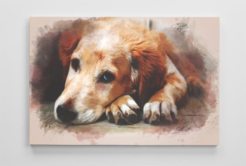 May include: A watercolour painting of a brown and white dog with blue eyes. The dog is lying down with its head resting on its paws. The background is a soft, light brown colour.
