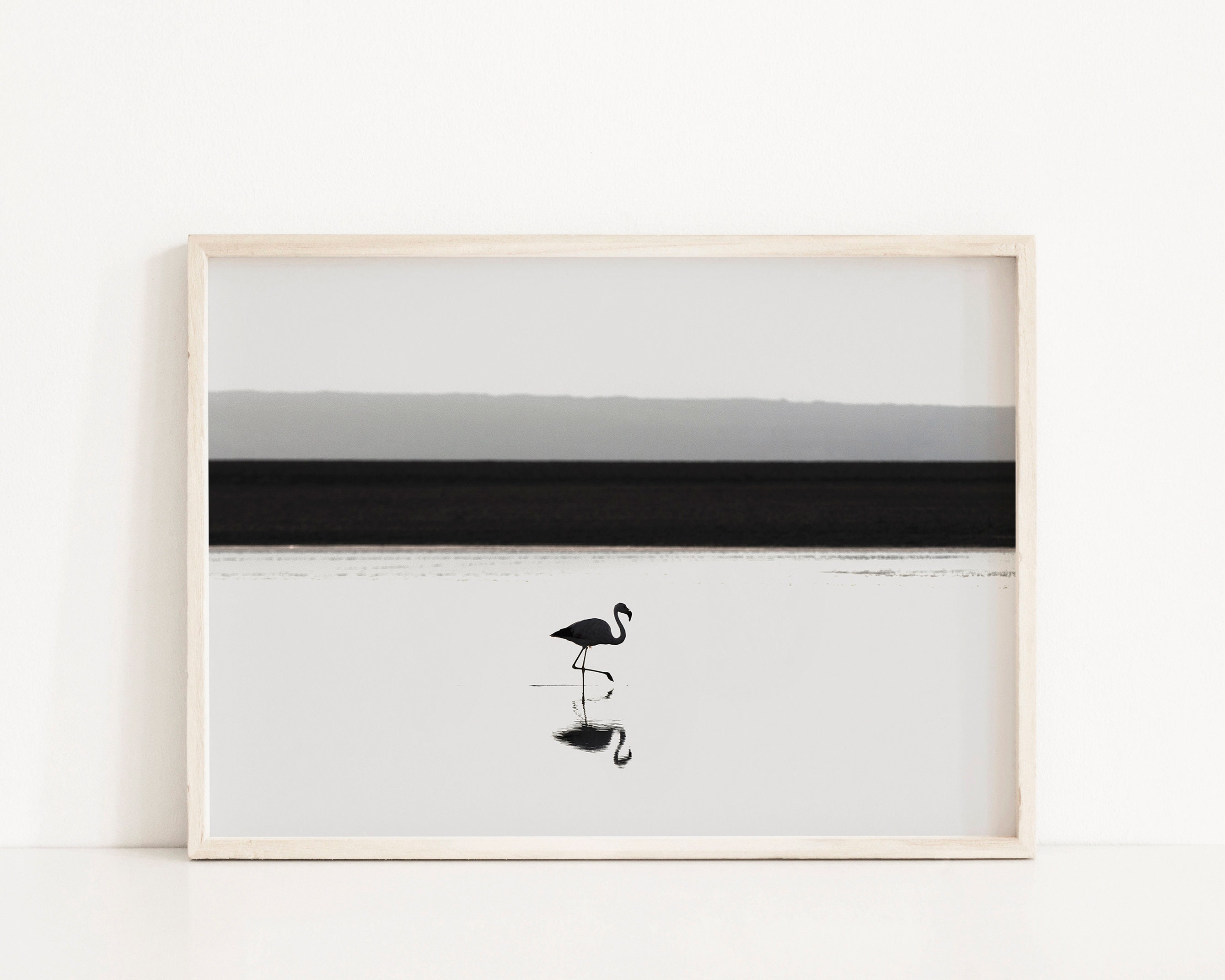 Black and White Flamingo Wall Art Flamingo Photography Etsy