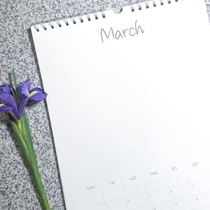 Calendario vuoto A3 per il 2025/2026 da progettare da solo (29,7 x 42 cm) - completamente rilegato con calendario appeso (carta per acquerello/tecnica mista)