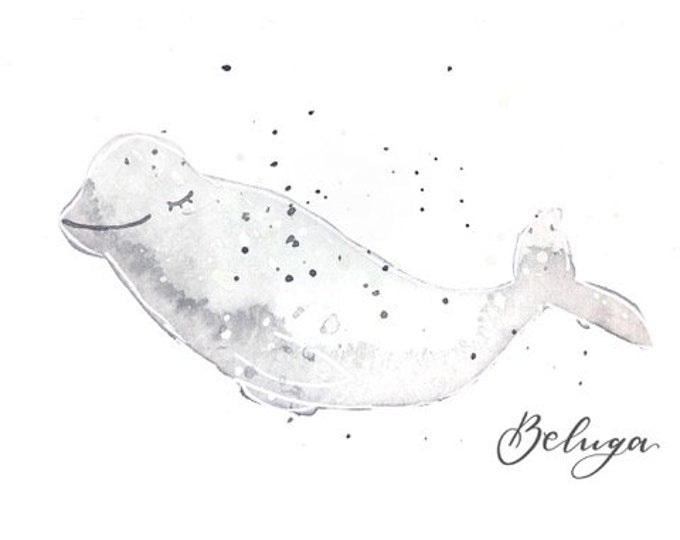 Baby Whale Beluga Picture/Card/Poster with Lettering