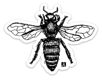 BellavanceInk: Honey Bee Art Pen & Ink Drawing Vinyl Sticker