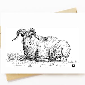 BellavanceInk: cartão comemorativo com desenho de caneta e tinta de um carneiro colocado 5 x 7 polegadas