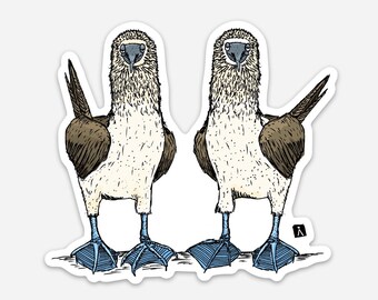 BellavanceInk: A Pair Of Two Blue Footed Boobies Vinyl Sticker