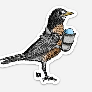 May include: A black and brown robin bird wearing a gray and white vest with two blue eggs in the pocket. The bird is standing on one leg with its wings folded.