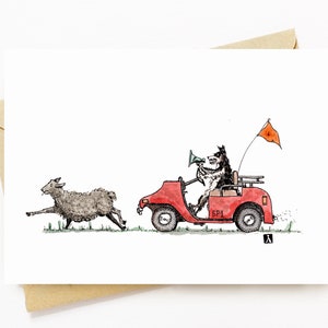 BellavanceInk: Tarjeta de felicitación con ovejas perseguidas por un perro ovejero en un carrito de golf 5 x 7 pulgadas