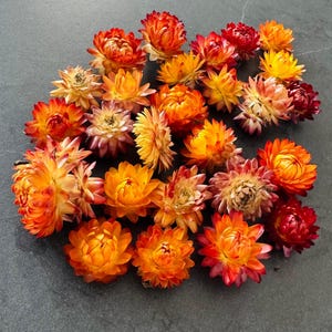 25 Strawflowers orange heads, Large dried straw flower heads, Orange straw flowers, Dried flowers table decoration, Dried Straw flowers