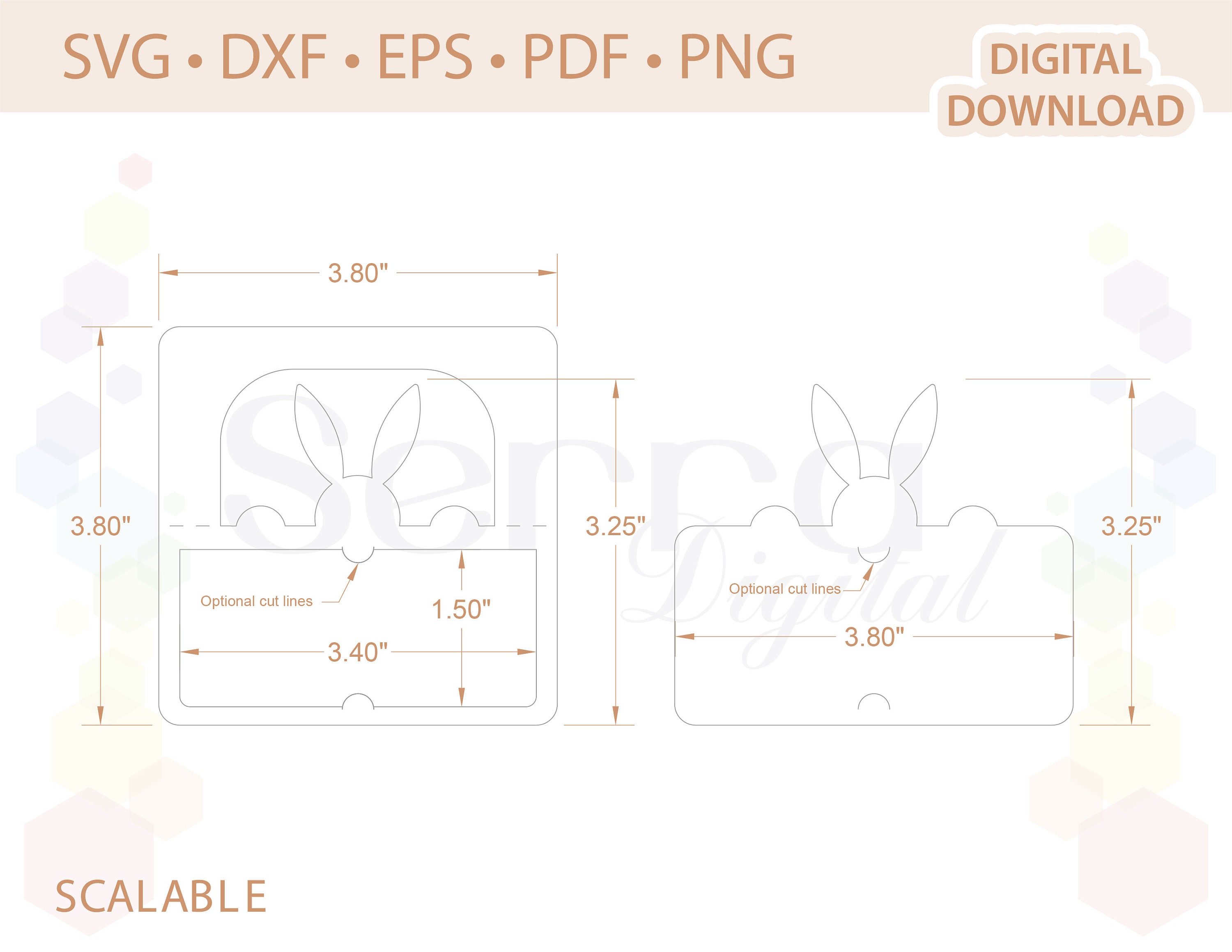 Bunny Place Card Bunny Name Card Template .svg .dxf .eps .pdf .png - Etsy