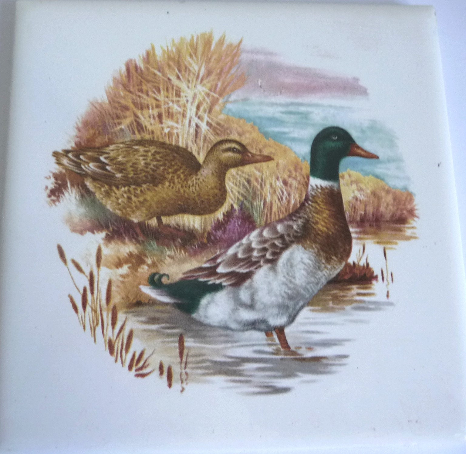 Carreau Ancien de Desvres Canards Carreau Décoratif Collection