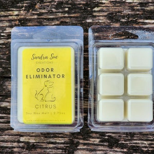 Citrus Odor Eliminating Soy Wax Melt, 2.75 oz
