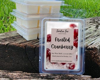 Frosted Cranberry Soy Wax Melt, 2.75 oz Clamshell | Christmas Holiday Aroma