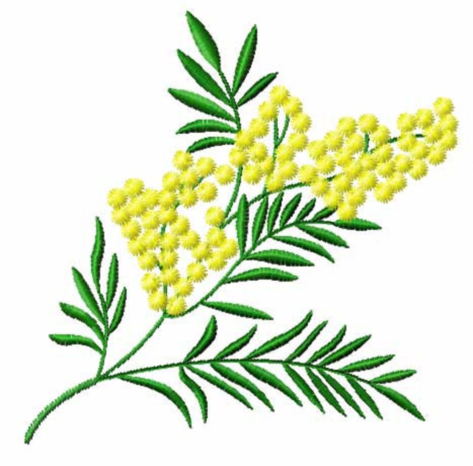 Mimosa Flowers Ornaments 11 Machine Embroidery Designs Set Etsy