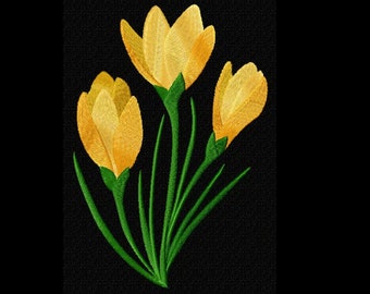 Crocus Machine Embroidery Design Pes, Hus, Jef, Dst, Exp, Jef, Vip, Vp3, Xxx, Sew, Art