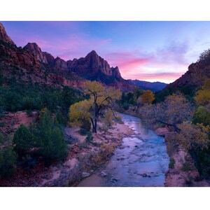 Autumn Hues | Utah | Limited Edition Photo Prints | Zion National Park | Vixmar Fine Art Photography Print | Wall Art | Home Decor | Art