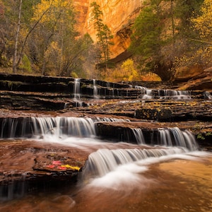 Autumn Hues | Utah | Limited Edition Photo Prints | Zion National Park | Vixmar Fine Art Photography Print | Wall Art | Home Decor | Art