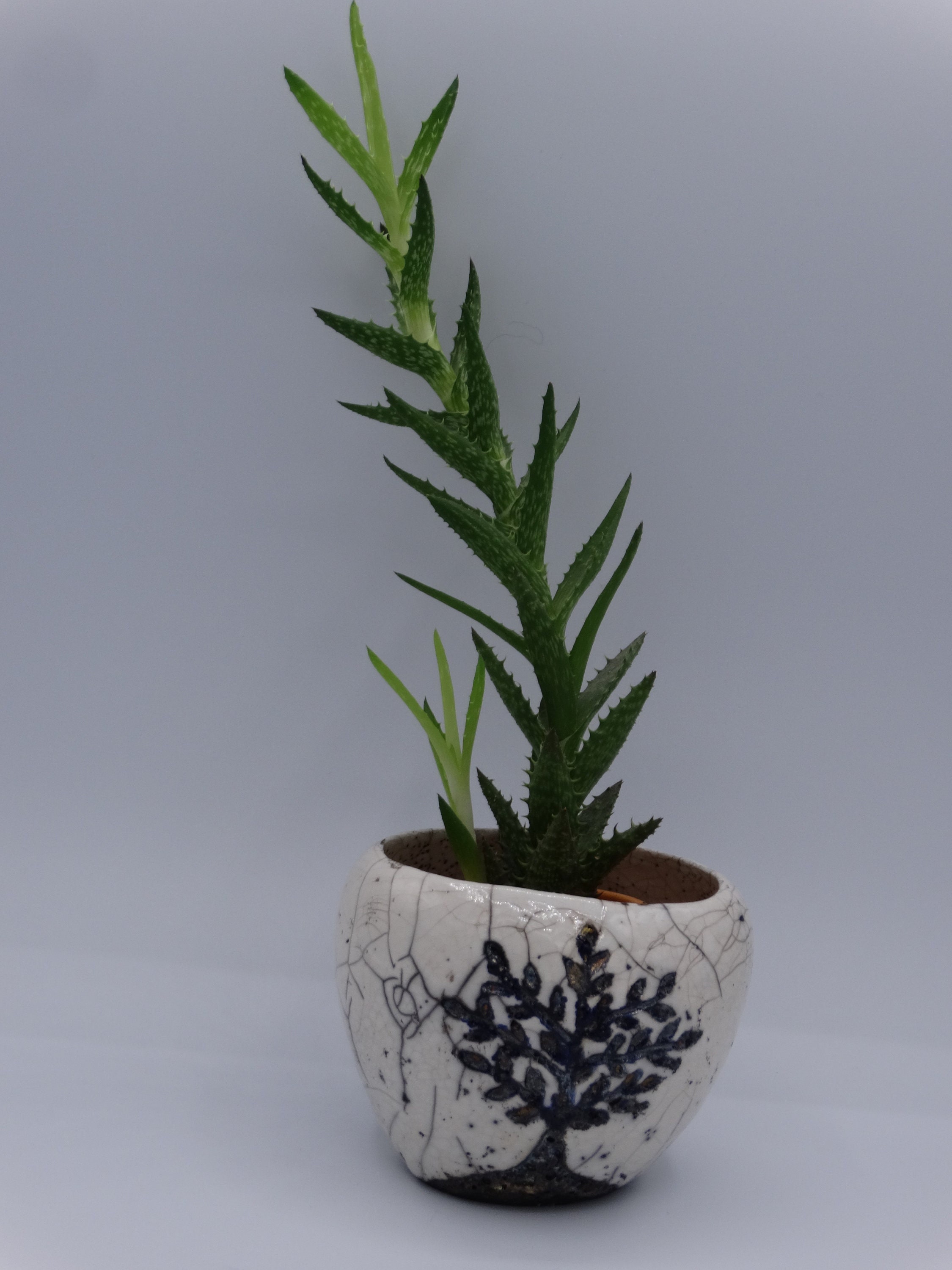Vase en Raku Arbre de Vie