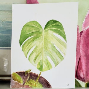 Oryginalny obraz akwarelowy Monstera Deliciosa Split Leaf Philodendron Swiss Cheese House Plant, obraz z liści Monstera