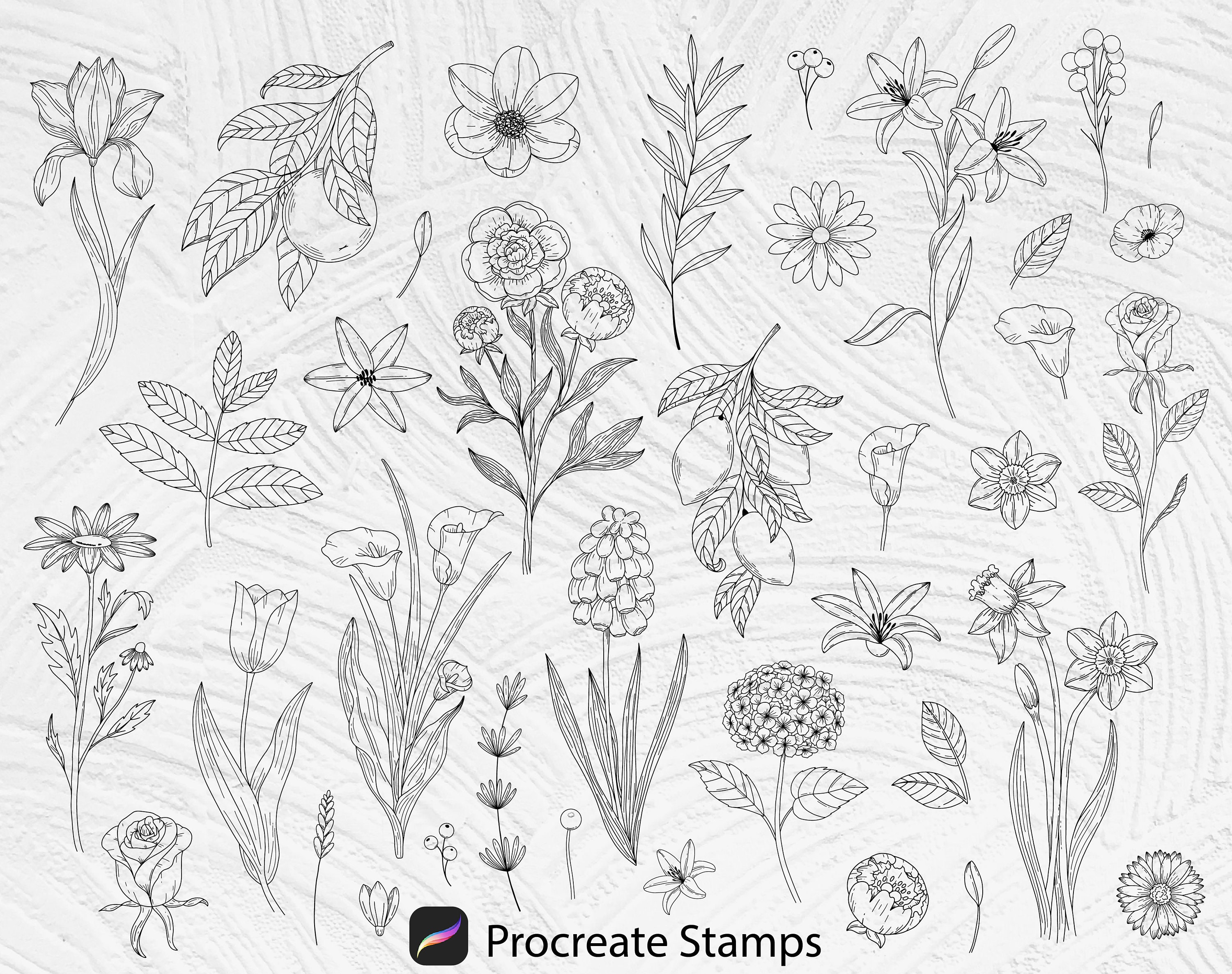 65 Procreate Floral Stamps, Procreate Flowers Stamps, Botanical Stamps ...