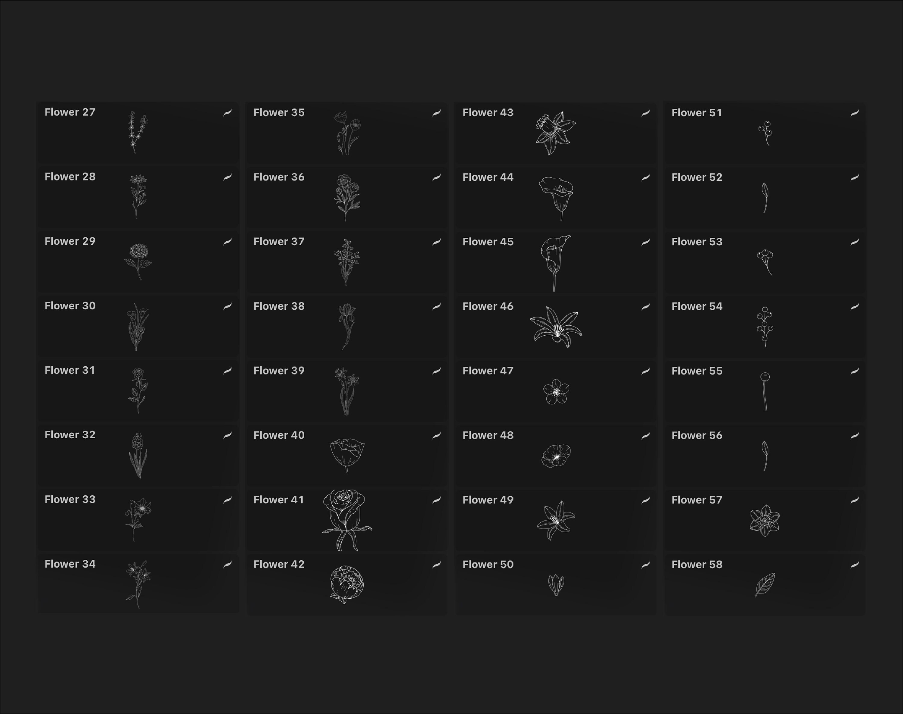 65 Procreate Floral Stamps, Procreate Flowers Stamps, Botanical Stamps ...
