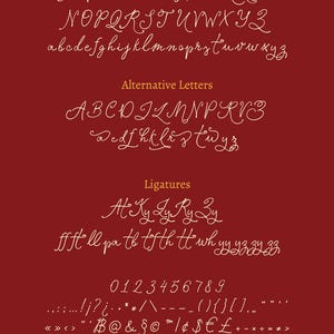 Rachel's Letter Wedding Calligraphy Font | Elegant Handwritten Script ...