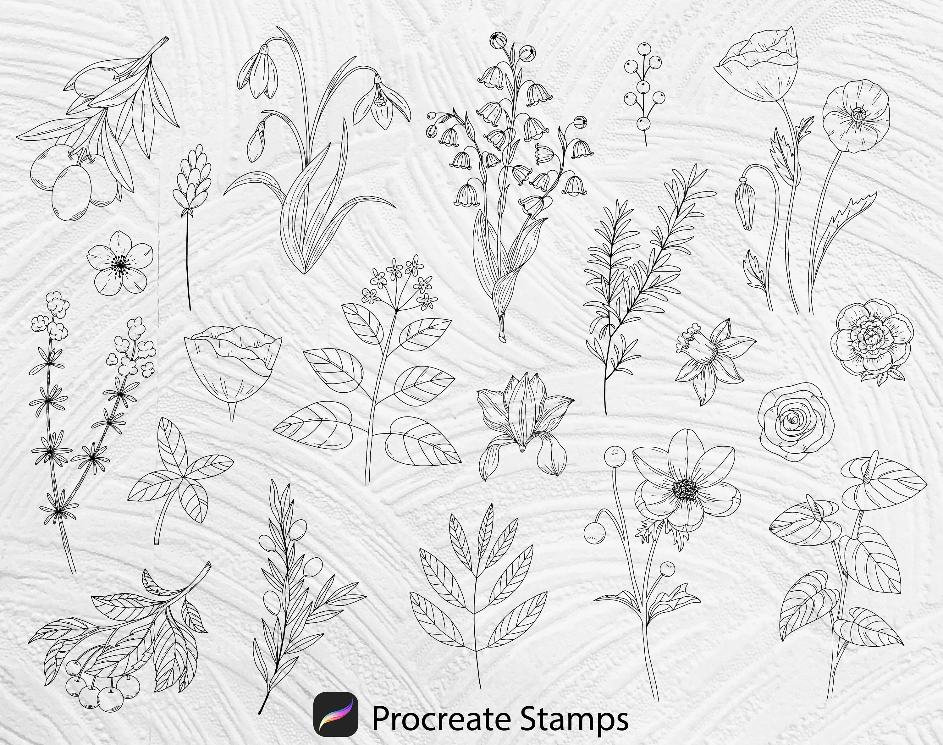 65 Procreate Floral Stamps, Procreate Flowers Stamps, Botanical Stamps ...