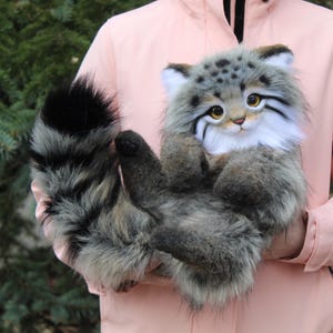 May include: A detailed plush toy of a Pallas's cat, with a realistic appearance. The soft toy has a grey and brown fur coat, white markings, and large yellow eyes. It has a long, striped tail and is held against a pink jacket.