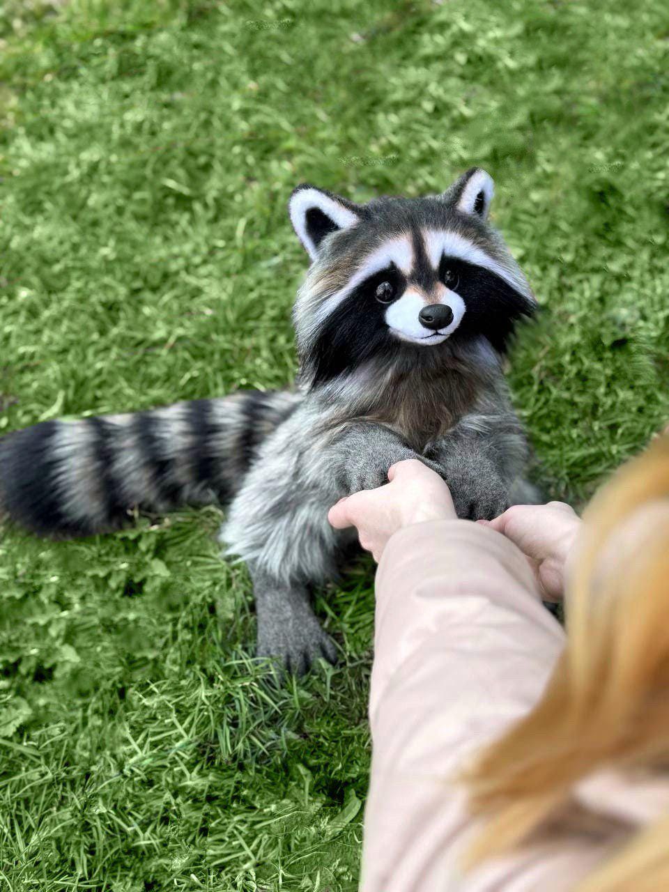 raccoon sex doll Amazon Best Sellers: Best Sex Dolls